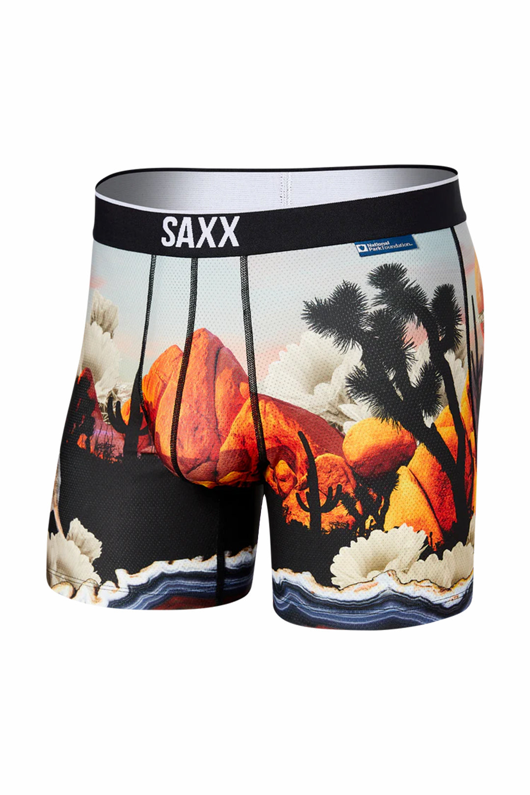 Boxer Arizona Saxx de couleur Multi