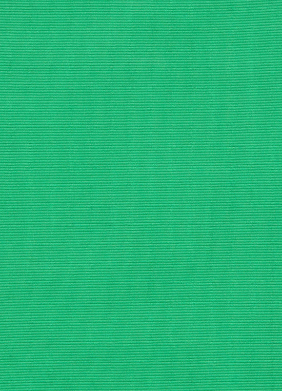Haut Isla Jets Swimwear de couleur Vert