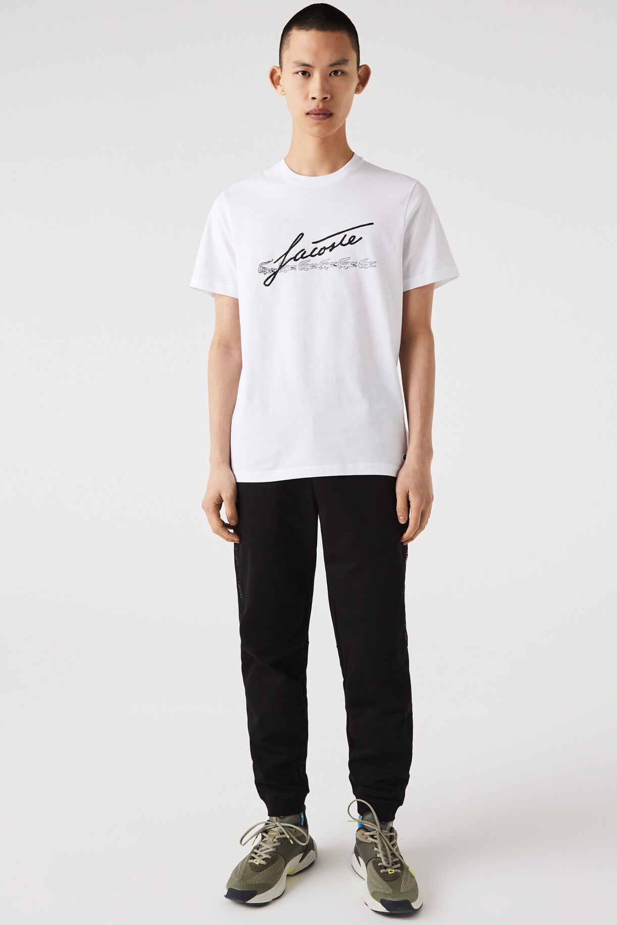 T-Shirt Signature Lacoste De Couleur Blanc Homme
