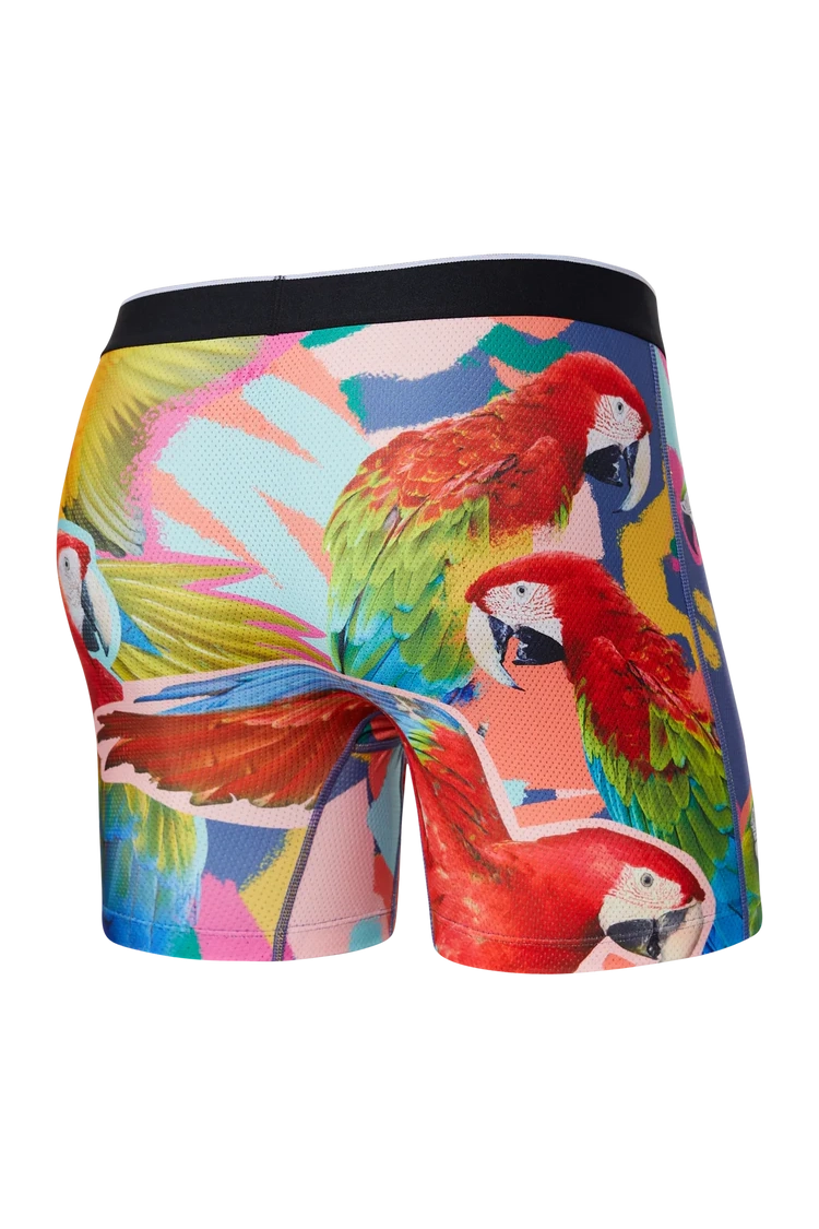 Saxx Parrot Underwear in Red Multi color